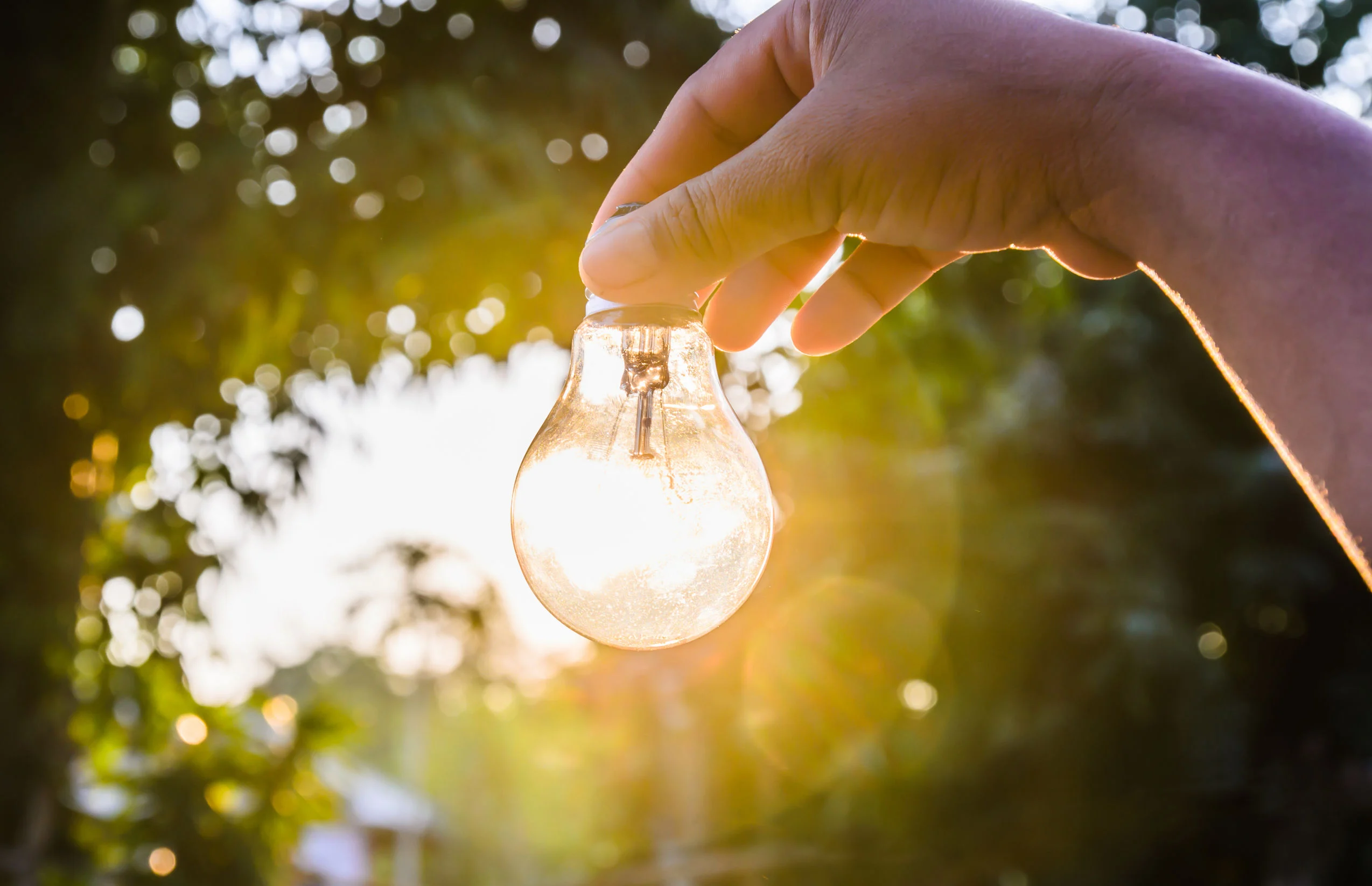47848313 - and holding a light bulb with sunset power concept
