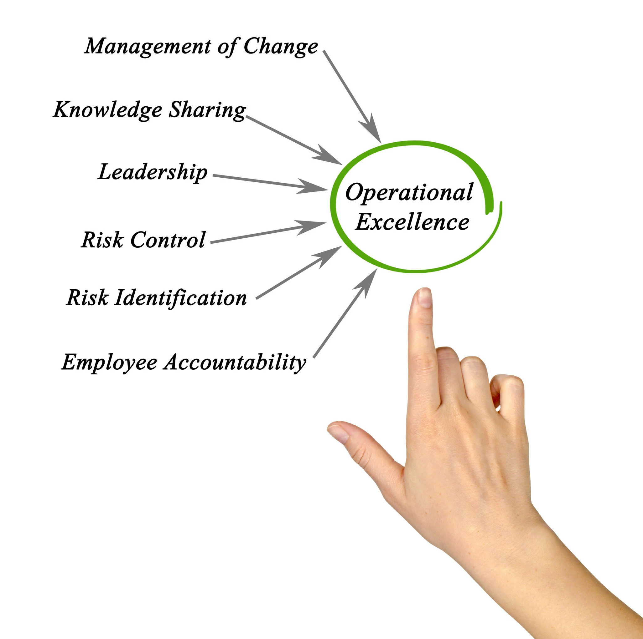 Operational excellence model linking change management, knowledge sharing, leadership, risk control, risk identification, and employee accountability