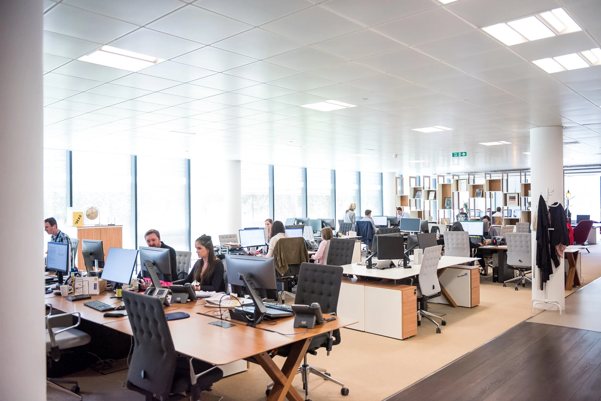 Employees working in an open office